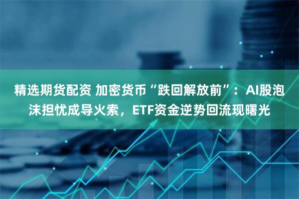 精选期货配资 加密货币“跌回解放前”：AI股泡沫担忧成导火索，ETF资金逆势回流现曙光