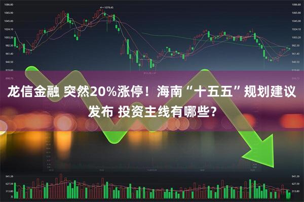 龙信金融 突然20%涨停！海南“十五五”规划建议发布 投资主线有哪些？