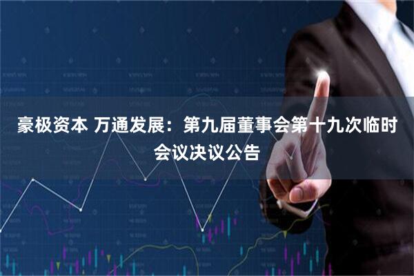 豪极资本 万通发展：第九届董事会第十九次临时会议决议公告