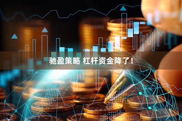 驰盈策略 杠杆资金降了！